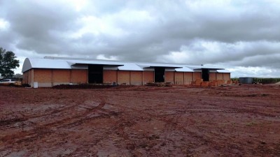 Armazém de Insumos - Unidade Coamo Lagunita